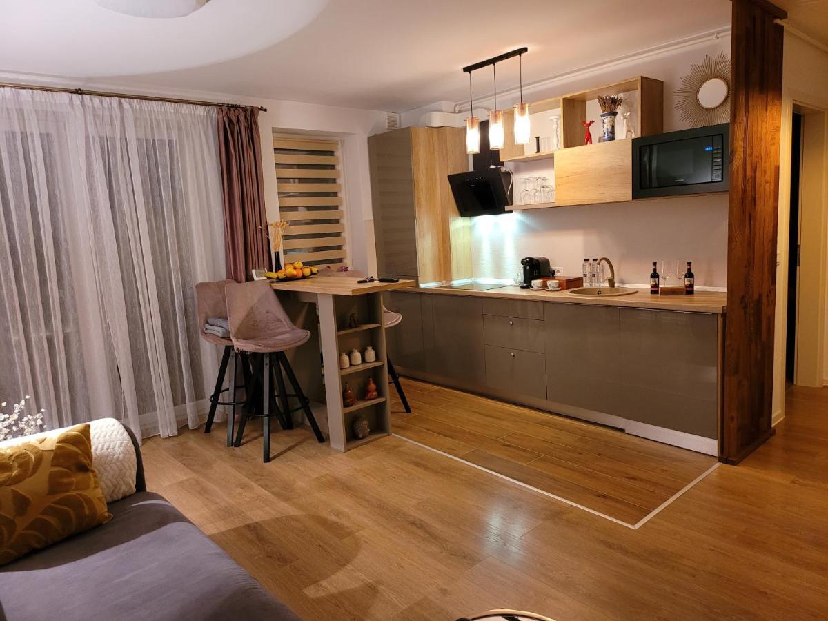 Executive Apartment Avantgarden Coresi ブラショフ エクステリア 写真